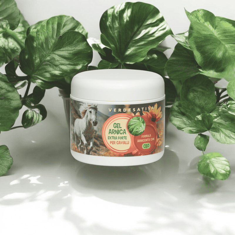 gel arnica cavalli 5